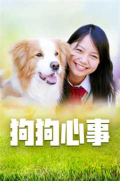 狗狗心事