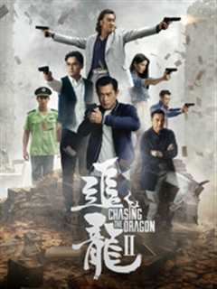 追龙2：追缉大富豪
