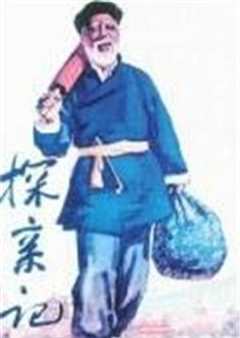 探亲记