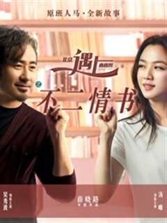 北京遇上西雅图之不二情书