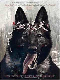 血狼犬