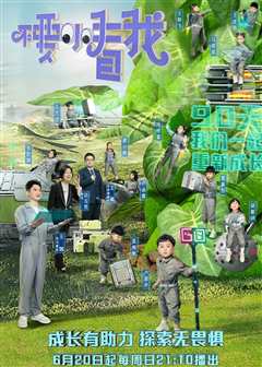 不要小看我