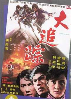 大追踪