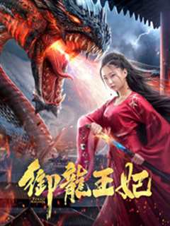 御龙王妃