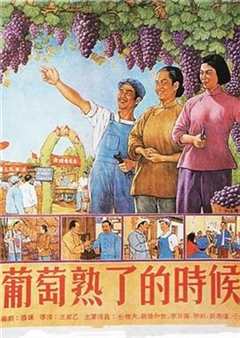 葡萄熟了的时候