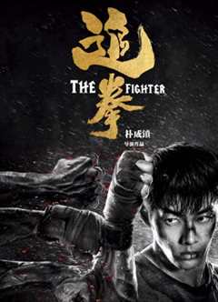 追拳