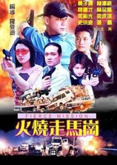 火烧走马岗
