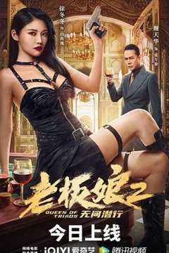 《老板娘2无间潜行粤语版》
