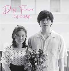 DryFlower-七月的房间-