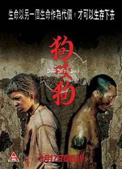 狗咬狗2006(剧情解说）