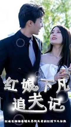 红娘下凡追夫记