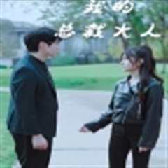 我的总裁大人