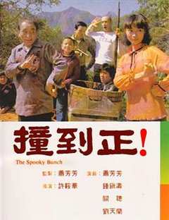 撞到正(剧情解说)