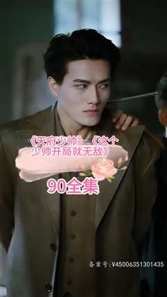 天府少帅