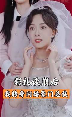 彩礼谈崩后我闪婚了豪门老公