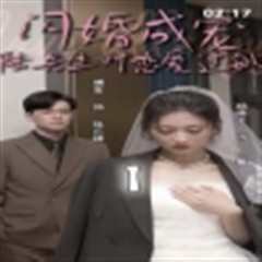 闪婚成宠，陆先生对恋爱过敏