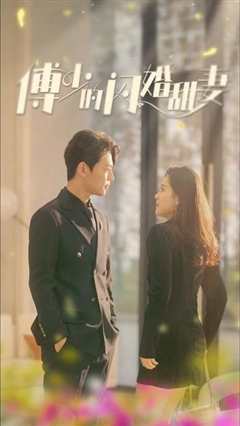 新傅少的闪婚甜妻