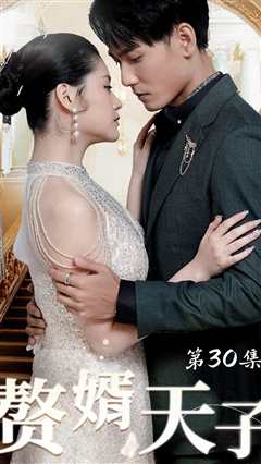 赘婿天子