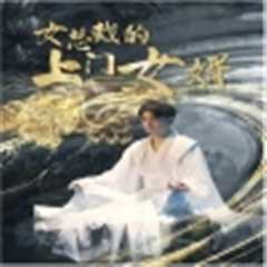 女总裁的上门女婿