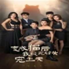 变成猫后我被死对头宠上天