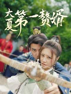 大夏第一赘婿