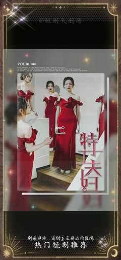 特工夫妇