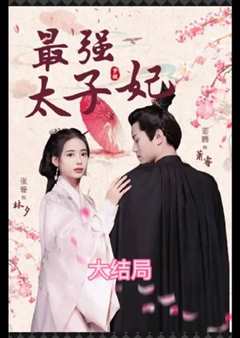 最强太子妃