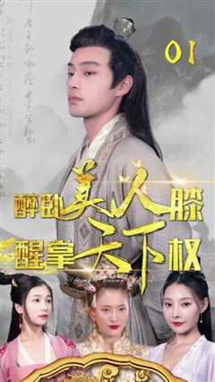 醉卧美人膝，醒掌天下权