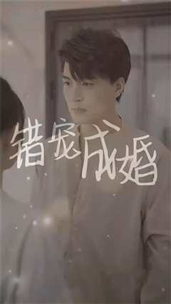 错宠成婚