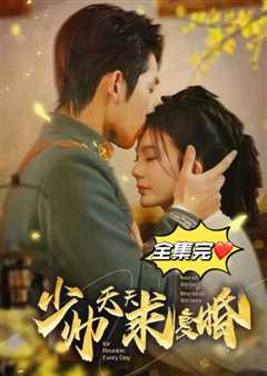 少帅天天求复婚