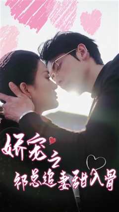 娇宠之祁总追妻甜入骨