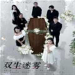 双生迷雾