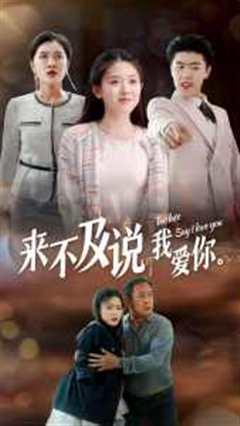 来不及说我爱你短剧