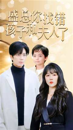 盛总你找错孩子和夫人了