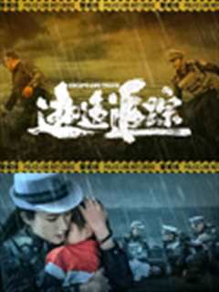 逃逸追踪