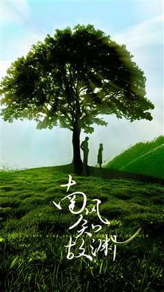 南风知故渊