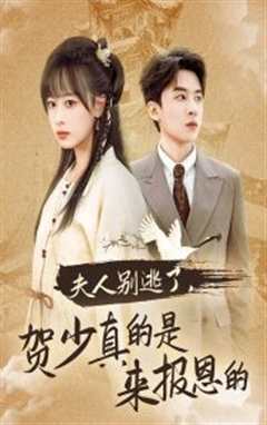《夫人别逃了贺少真的是来报恩的》