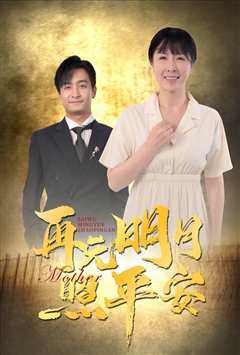 再无明月照平安
