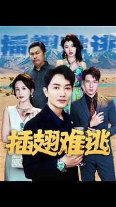 插翅难飞短剧