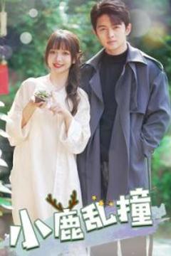 《小鹿乱撞》