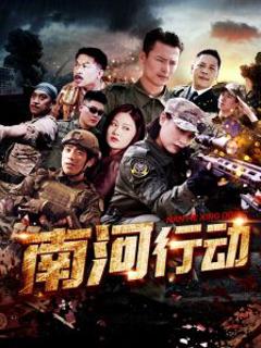 南河行动