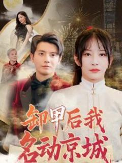 《卸甲后我名动京城》