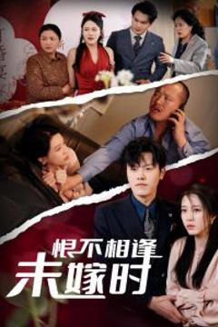 恨不相逢未嫁时30集
