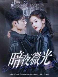 暗夜微光