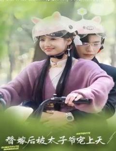 替嫁后被太子爷宠上天