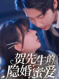 贺先生的隐婚蜜爱