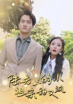 陆先生的小祖宗甜又飒&落魄千金的逆袭恋曲