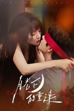 月光下的重逢