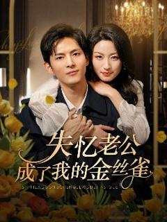 失忆老公成了我的金丝雀