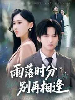 雨落时分别再相逢